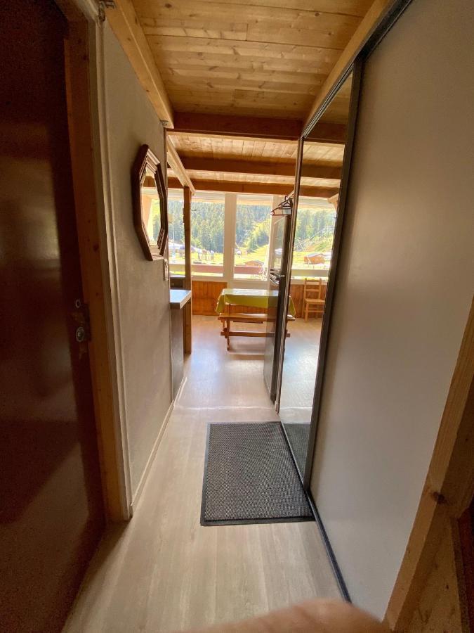 Super Lioran - Appartement Entierement Equipe Laveissiere Exterior photo